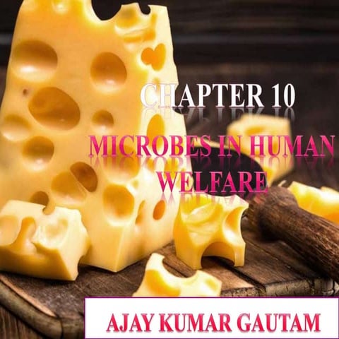 Microbes In Human Welfares.pptx