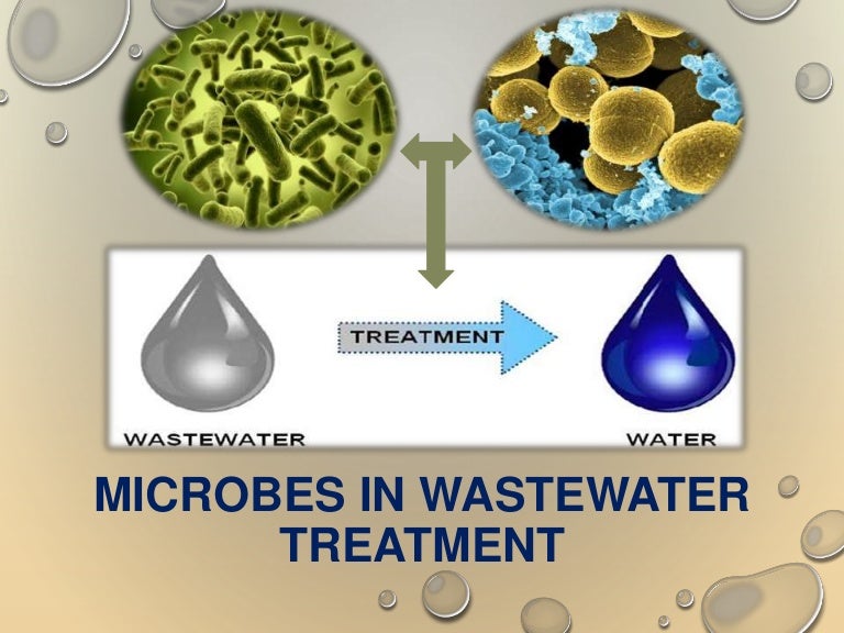 Microbes in waste water treatment