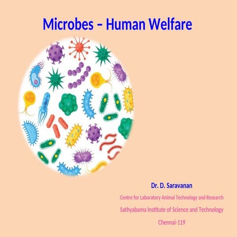 Microbes elixir in life/Microbes in human welfare