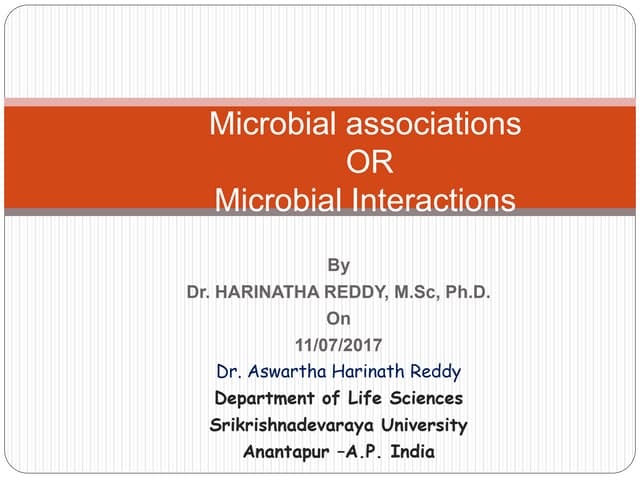 Microbial associations or microbial interactions