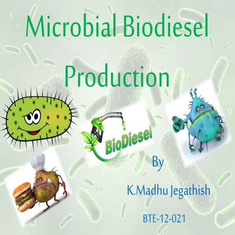 Microbial biodiesel  production