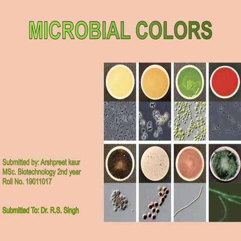 Microbial colors