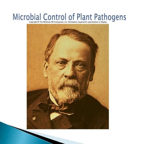 Microbial control of plant pathogens