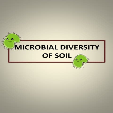 Microbial diversity of soil