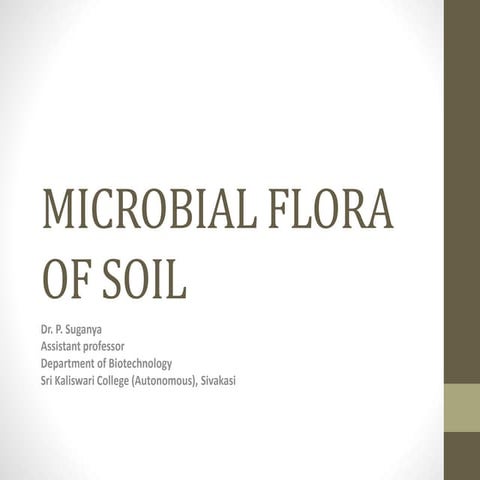 Microbial flora of soil