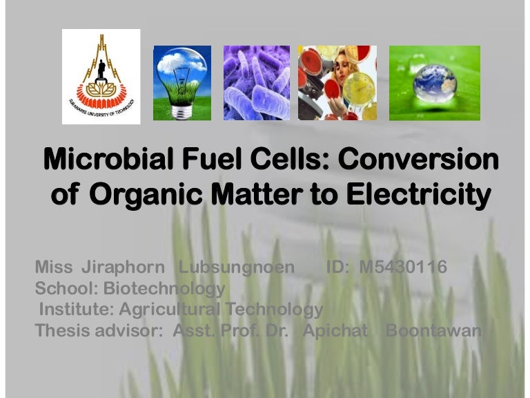 Microbial fuel cells