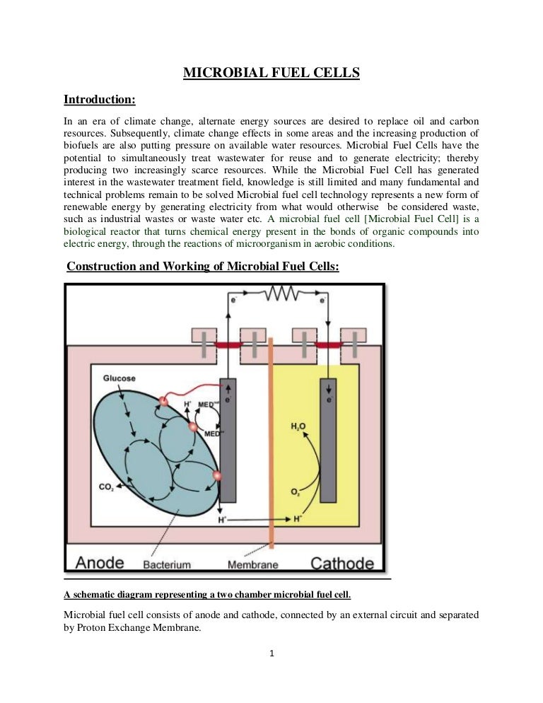 Microbial fuel cells report