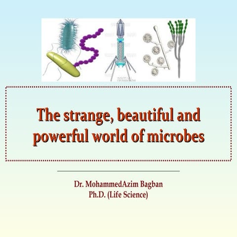 Microbiology world & Microbial habitat 