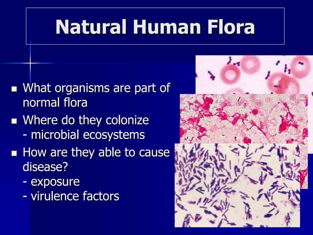 Normal Microbial Flora Is Best Described As