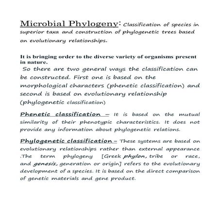 Microbial phylogeny
