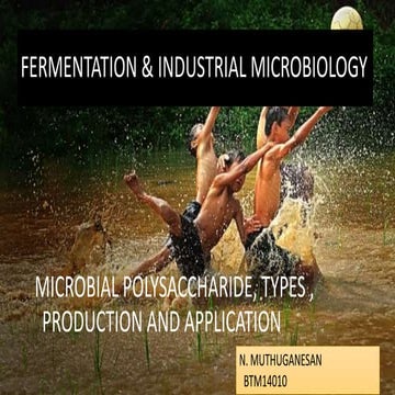 Microbial Polysaccharide - Food Application - Food Industry
