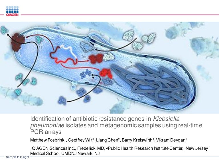 Identification of antibiotic resistance genes in Klebsiella pneumonia…