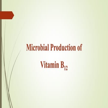 Microbial production of vitamin b12