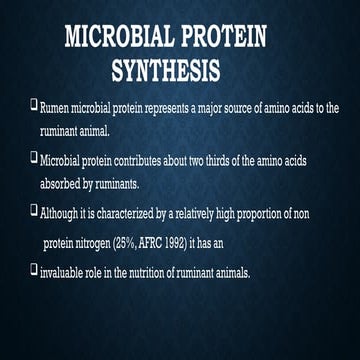 Microbial protein synthesis.in Rumen.pptx