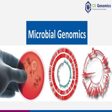 Microbial sequencing