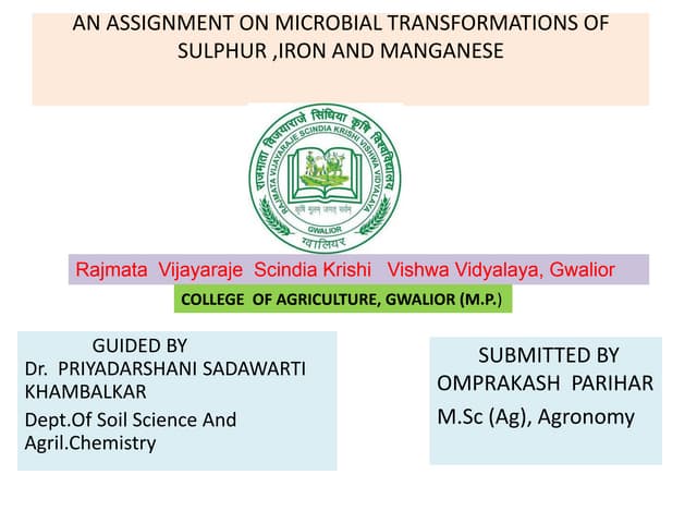 Microbial transformation of s,fe,mn. 