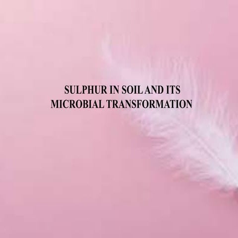 Microbial transformation of Sulphur.pptx