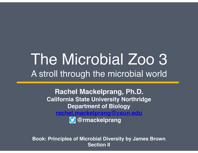 Microbial Diversity Part 9: A Stroll Through the Microbial Zoo (pt 3)
