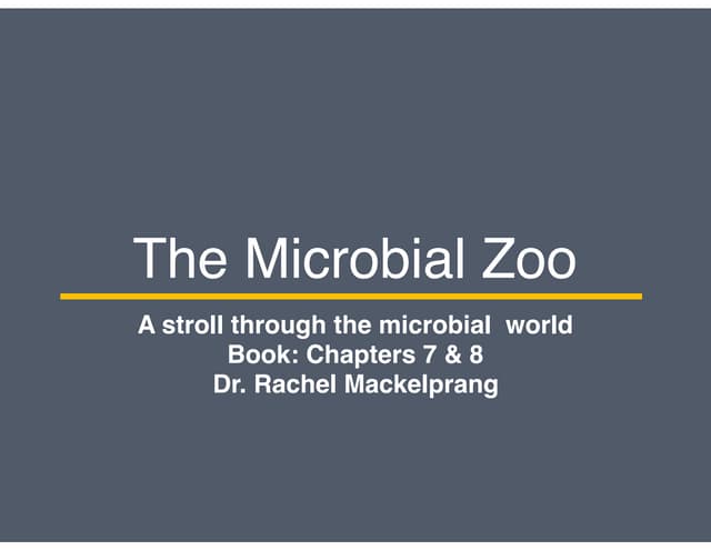 Microbial Diversity Part 7: A Stroll Through the Microbial Zoo (pt1)