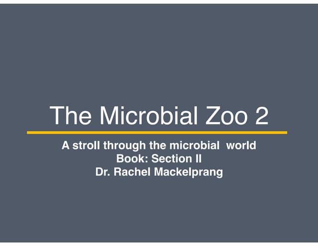 Microbial Diversity Part 8: A Stroll Through the Microbial Zoo (pt2)