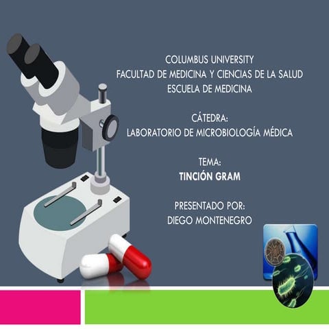 TINCIÓN GRAM