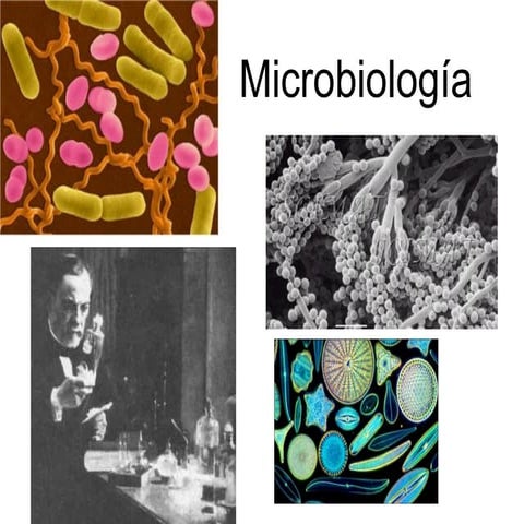 Microbiología