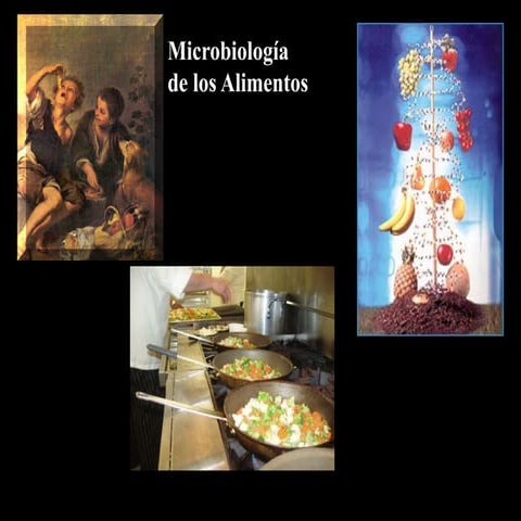 Microbiología de los alimentos | PPTX
