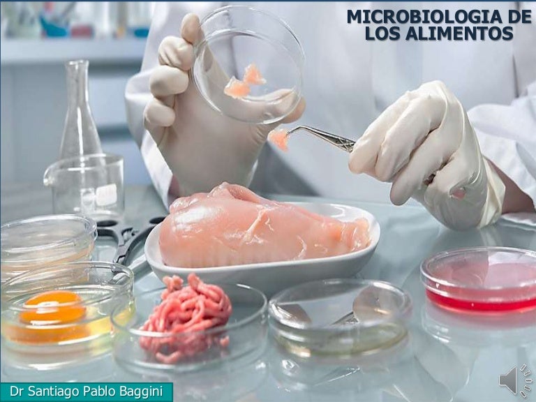 Introduccion A La Microbiologia De Los Alimentos mungfali.com