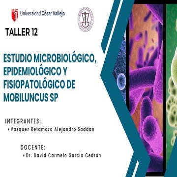 Microbiología y Parasitología - Mobiluncus SP | PDF