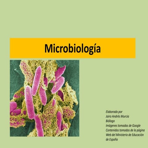 Microbiología y virus