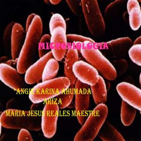Microbiologia
