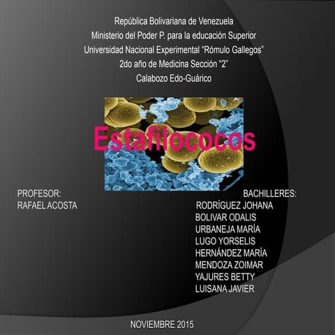 staphylococcus aureus, staphylococcus saprophyticus y Staphylococcus Epidermidis