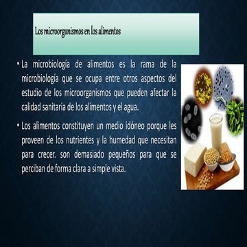 Microbiologia y microorganismos en los alimentos.pptx
