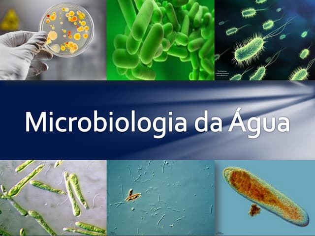 Microbiologia da água