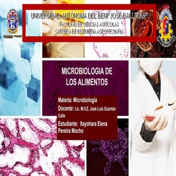 LA MICROBIOLOGIA DE LOS ALIMENTOS U.pptx