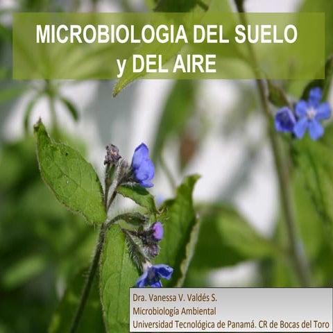 Microbiologia del suelo y aire