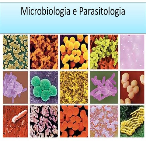 Microbiologia e Parasitologia.pptx
