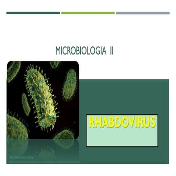 MICROBIOLOGIA II Rabdovirus. Dra. Sandra Gonzalez.pdf