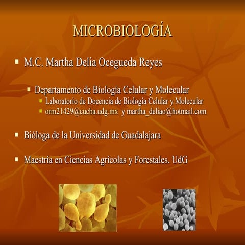 Microbiologia programa 1