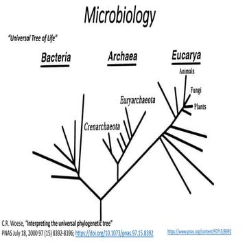 Microbiology