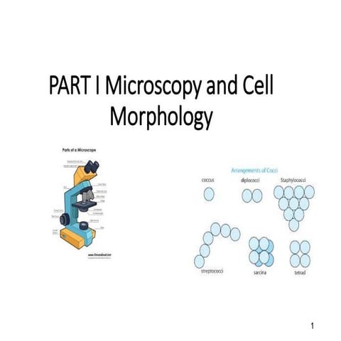 Microbiology visual data 8