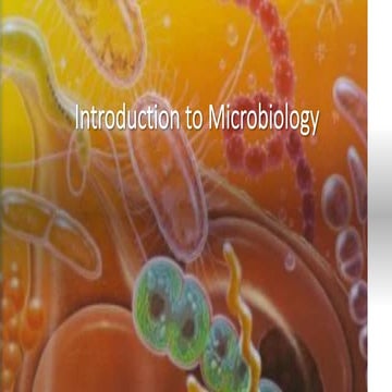 microbiology.pdf kmtc kapenguria campus.