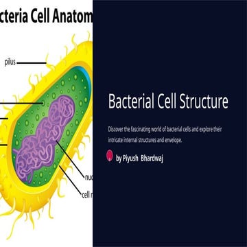 microbiology.pptx BSc honos agriculture 1sr