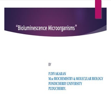bioluminscence of microorganisms