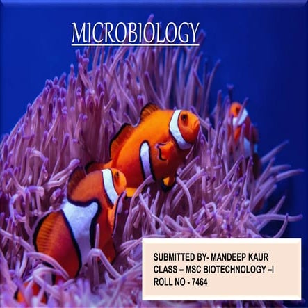 Microbiology INTERACTIONS.pptx