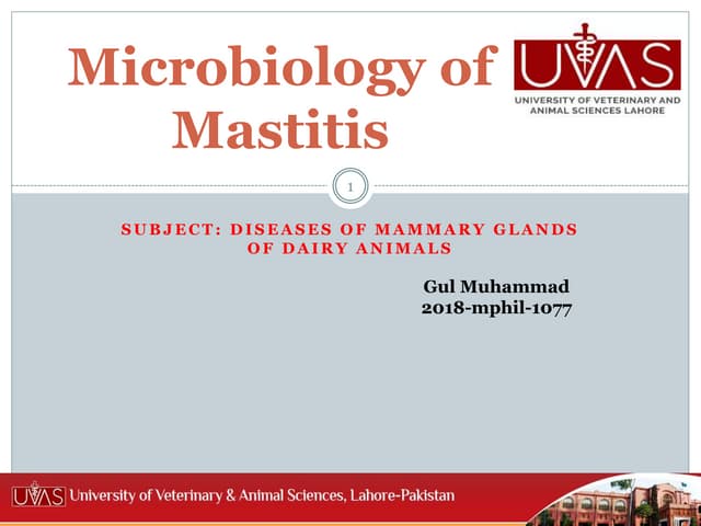 Microbiology of mastitis