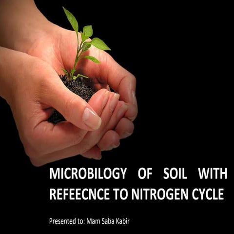 Microbiology of soil & nitrogen cycle