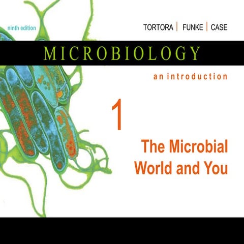 Microbiology overview