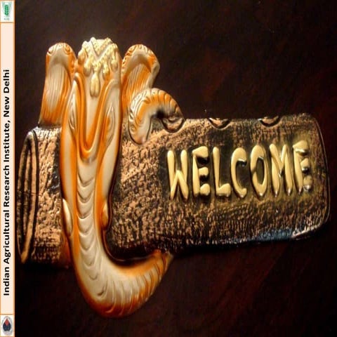 Life Cycle Analysis of Algal Biofuel