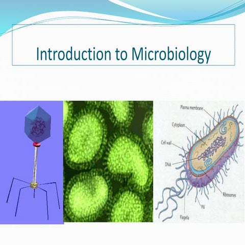 Introduction to Microbiology